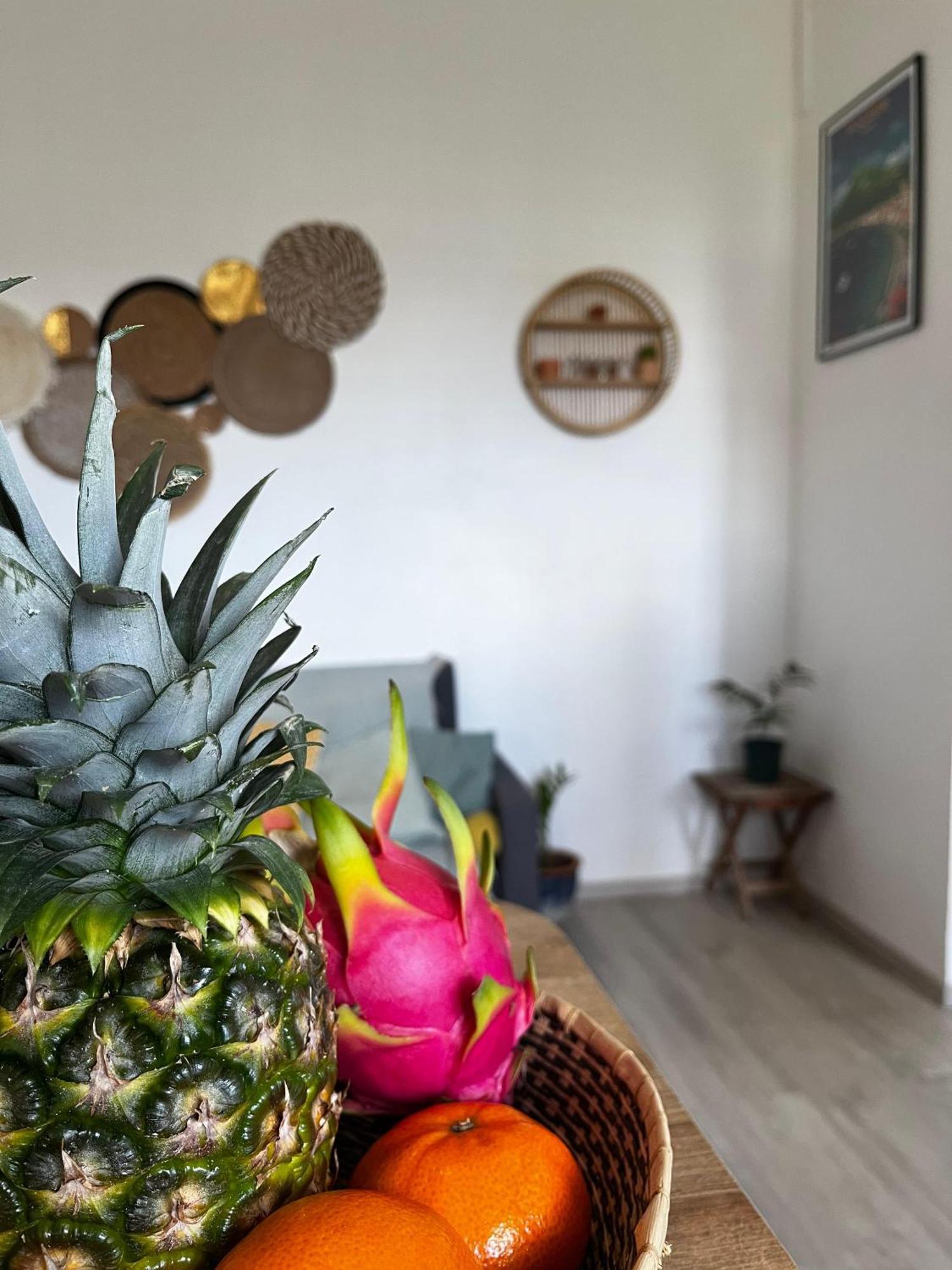 Cocon Des Alizes Apartment La Moise ภายนอก รูปภาพ
