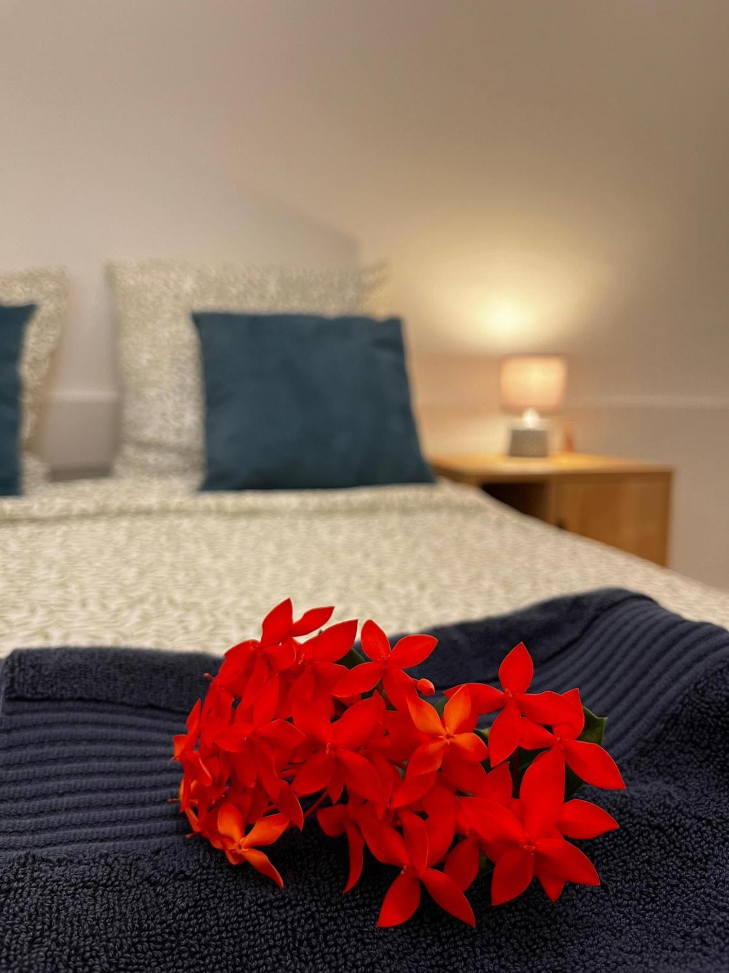 Cocon Des Alizes Apartment La Moise ภายนอก รูปภาพ